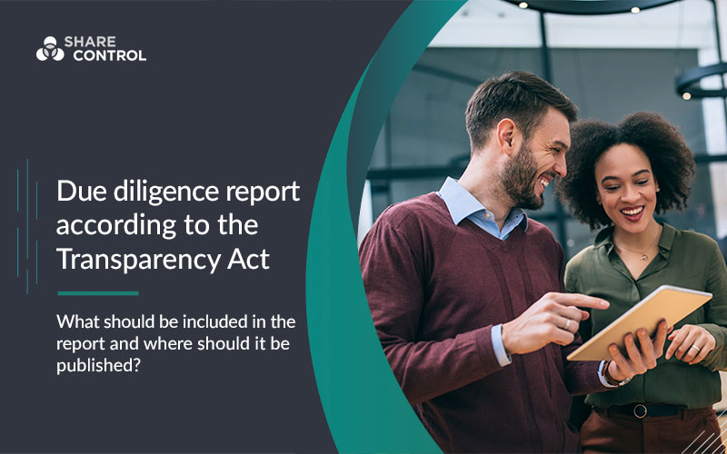 Due diligence report